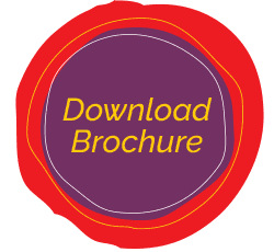 Download this WOWZulu Destinations Brochure