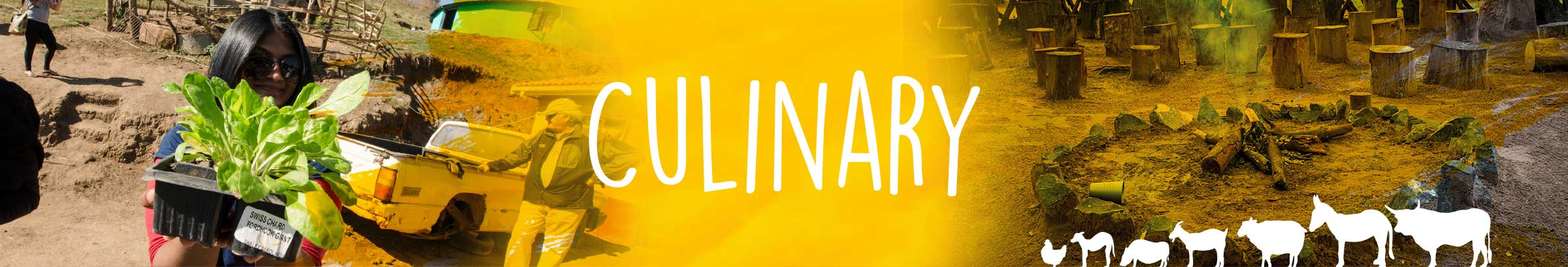 WOWZulu experience culinary in KwaZulu-Natal