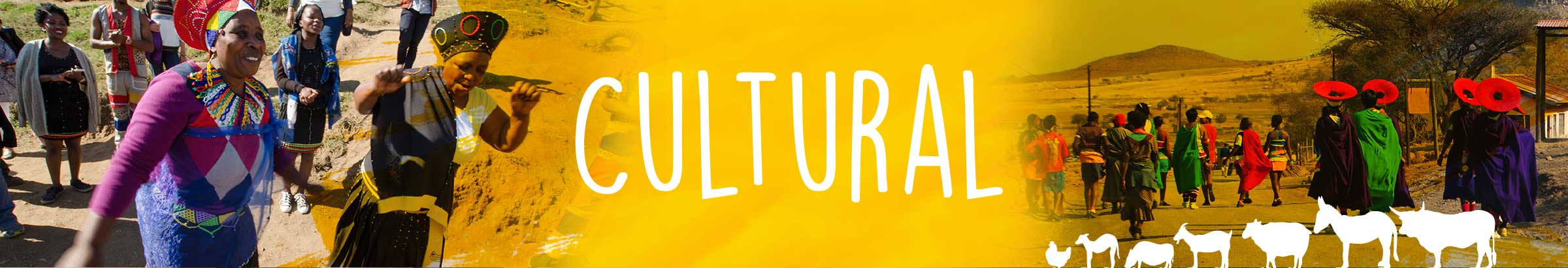 WOWZulu experience cultural in KwaZulu-Natal